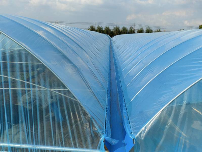 PE大棚膜